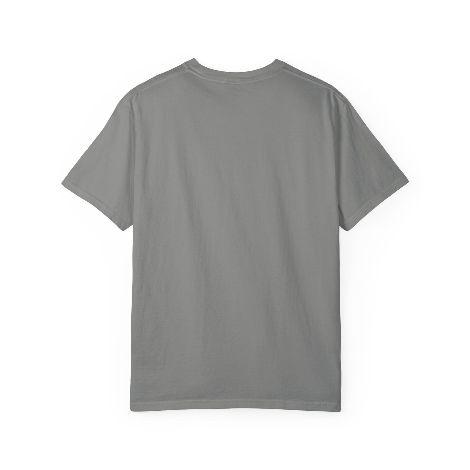 Elemental Doberman Garment-Dyed T-Shirt - Image 14