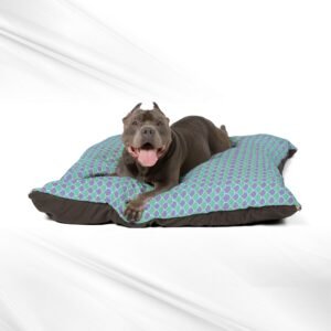 Mermaid Inspired Scalloped Pet Dog Bed